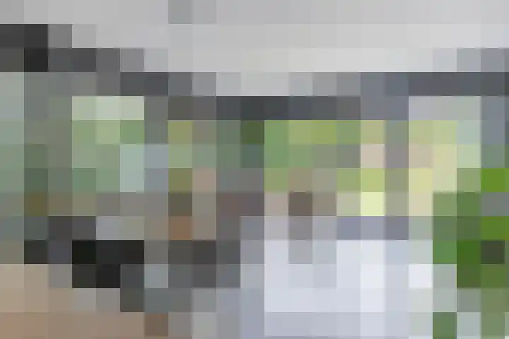 den Blieklaan 33 Soest thumbnail 4