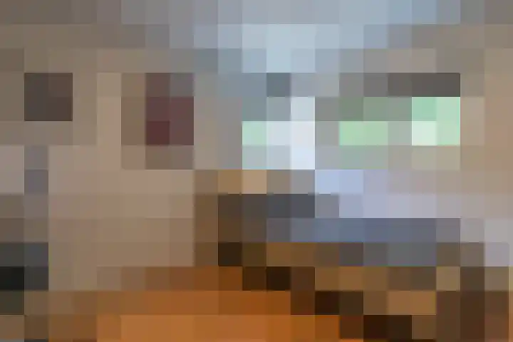den Blieklaan 33 Soest thumbnail 43