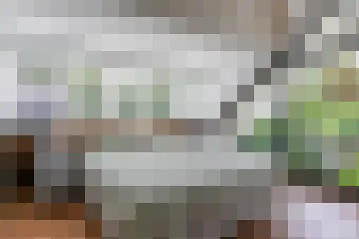 den Blieklaan 33 Soest thumbnail 49