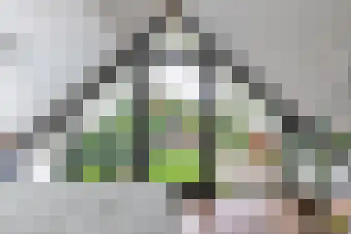 den Blieklaan 33 Soest thumbnail 52