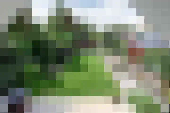den Blieklaan 33 Soest thumbnail 53