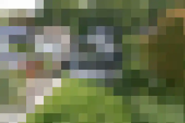 den Blieklaan 33 Soest thumbnail 54