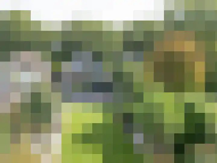 den Blieklaan 33 Soest thumbnail 59