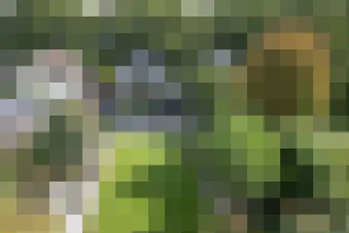 den Blieklaan 33 Soest thumbnail 60