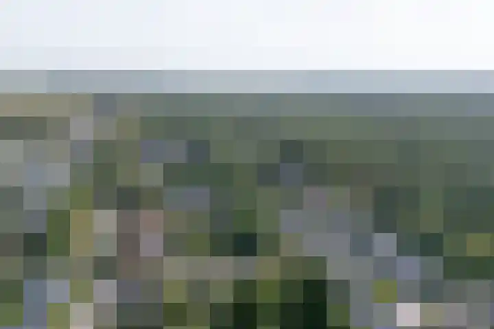 den Blieklaan 33 Soest thumbnail 61