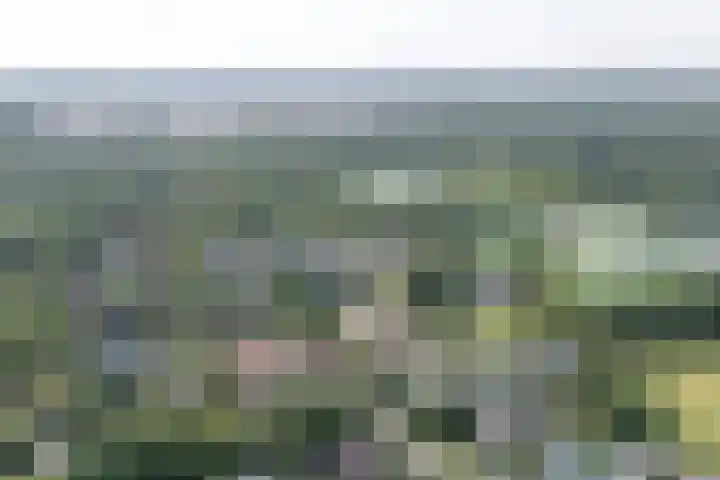 den Blieklaan 33 Soest thumbnail 62
