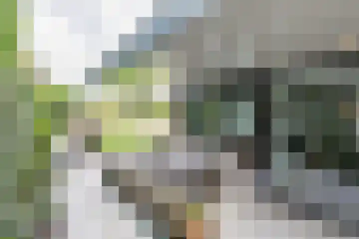 den Blieklaan 33 Soest thumbnail 7