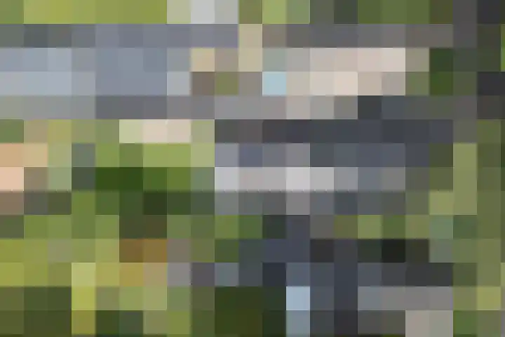 den Blieklaan 33 Soest thumbnail 8