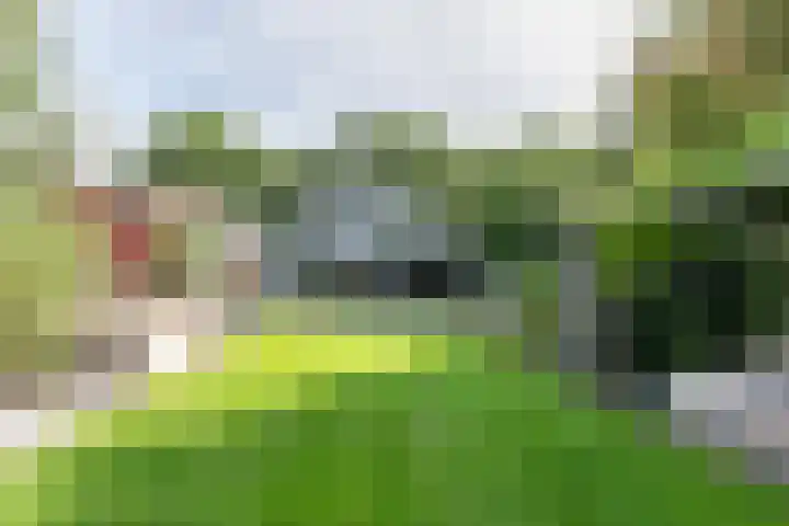 den Blieklaan 33 Soest thumbnail 9