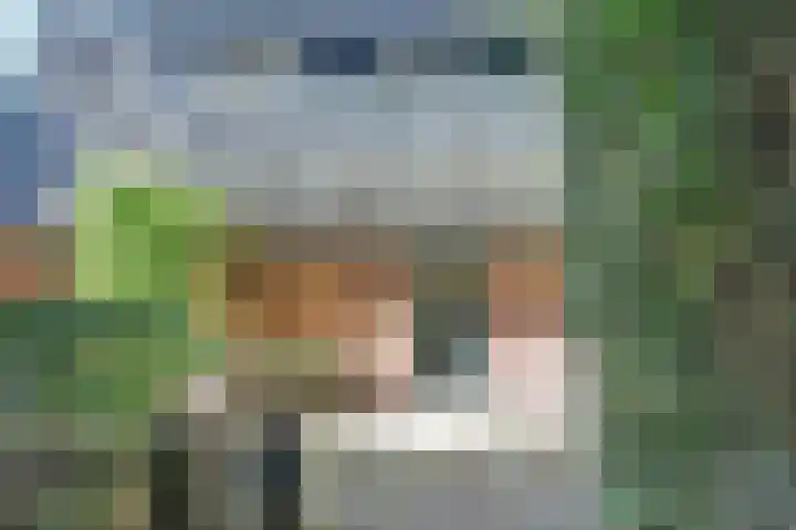 den Blieklaan 41 Soest thumbnail 10