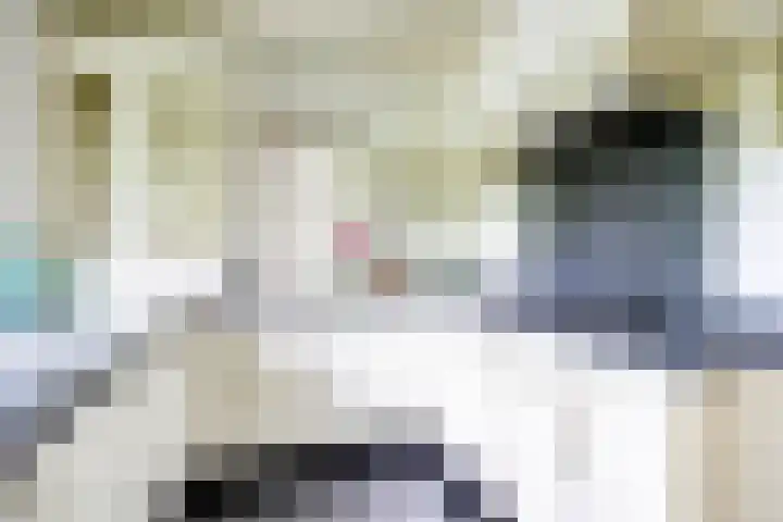 den Blieklaan 41 Soest thumbnail 12