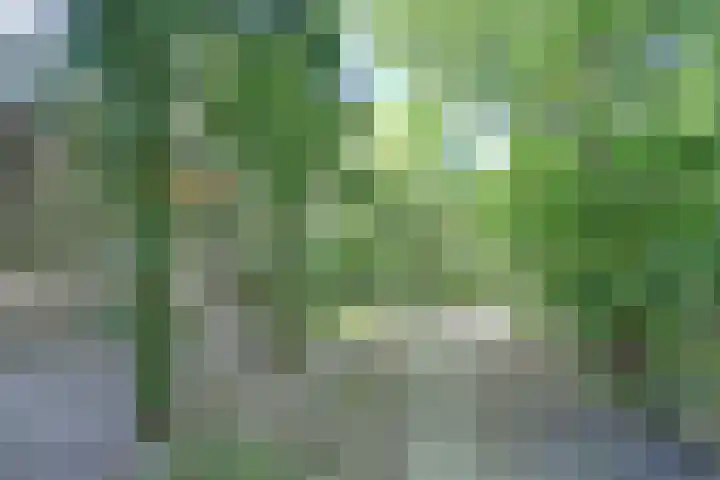 den Blieklaan 41 Soest thumbnail 22