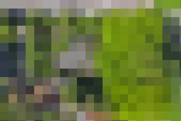 den Blieklaan 41 Soest thumbnail 43