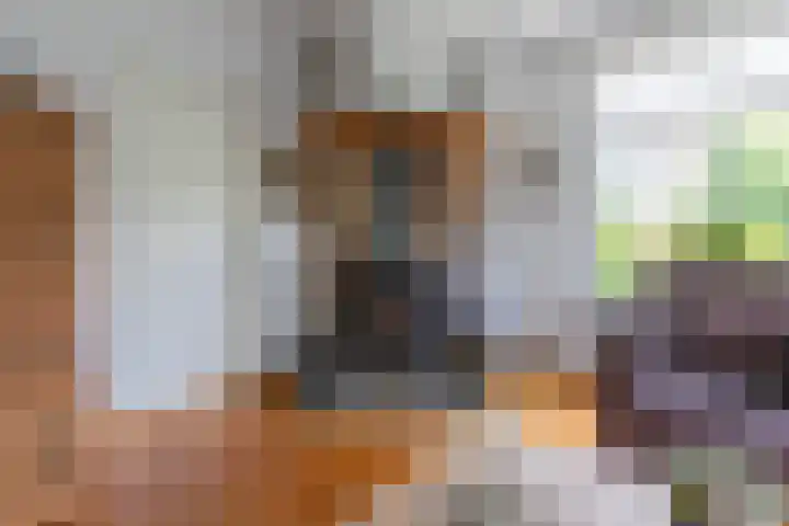 den Blieklaan 48 Soest thumbnail 14