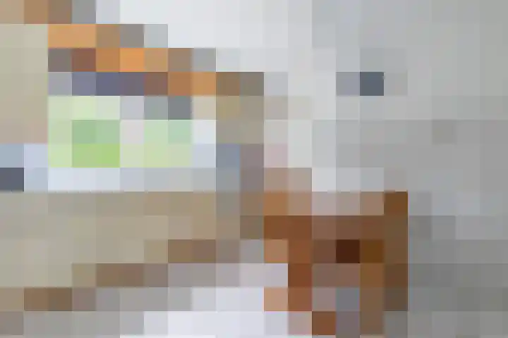 den Blieklaan 48 Soest thumbnail 16