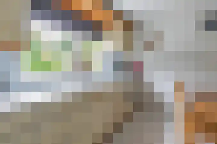 den Blieklaan 48 Soest thumbnail 17