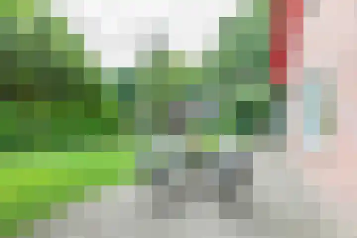 den Blieklaan 48 Soest thumbnail 29