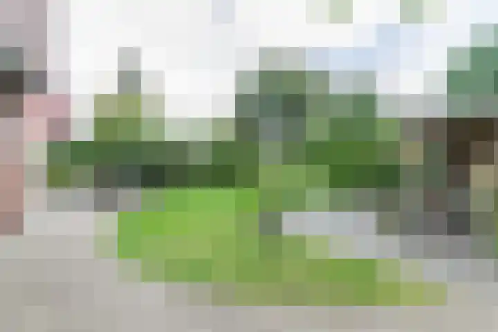den Blieklaan 48 Soest thumbnail 31