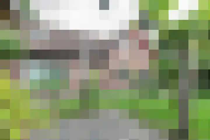 den Blieklaan 48 Soest thumbnail 33