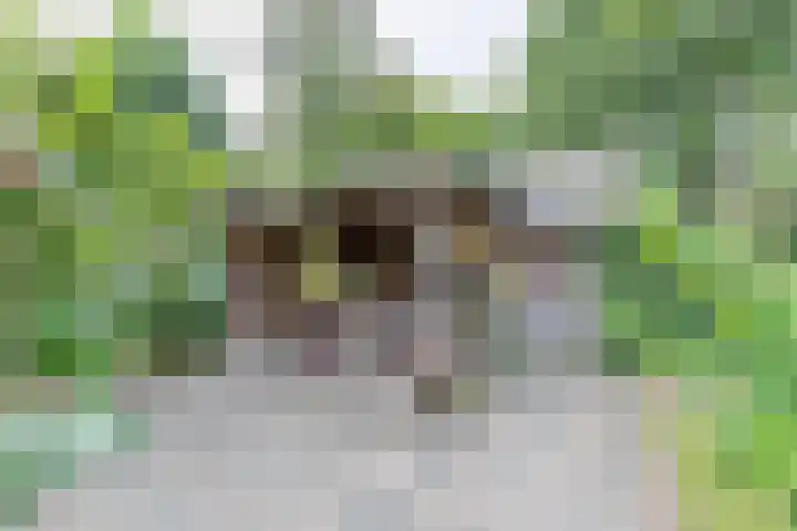 den Blieklaan 48 Soest thumbnail 34