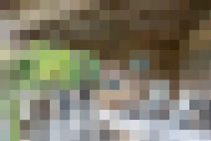 den Blieklaan 48 Soest thumbnail 35