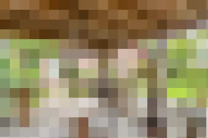 den Blieklaan 48 Soest thumbnail 36