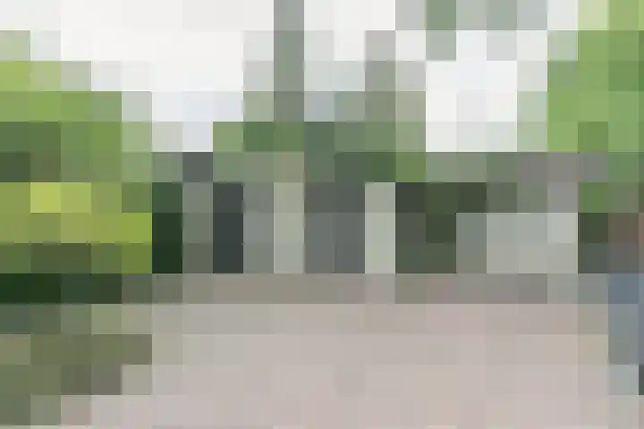 den Blieklaan 48 Soest thumbnail 37
