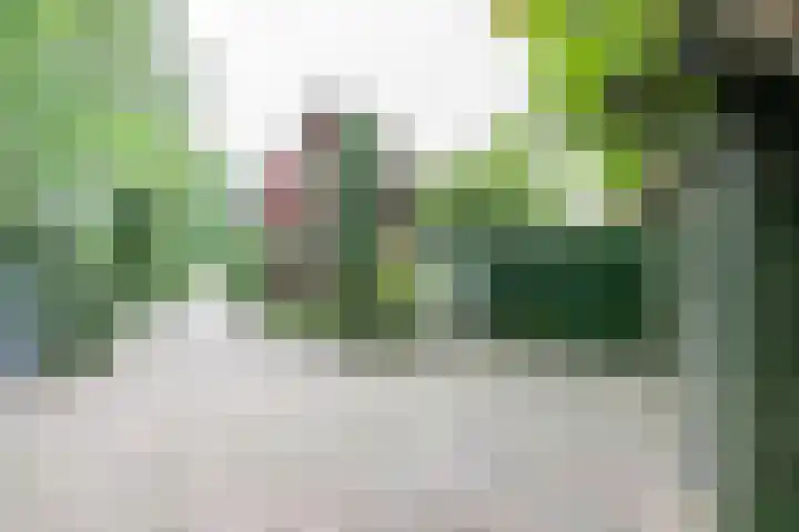 den Blieklaan 48 Soest thumbnail 39