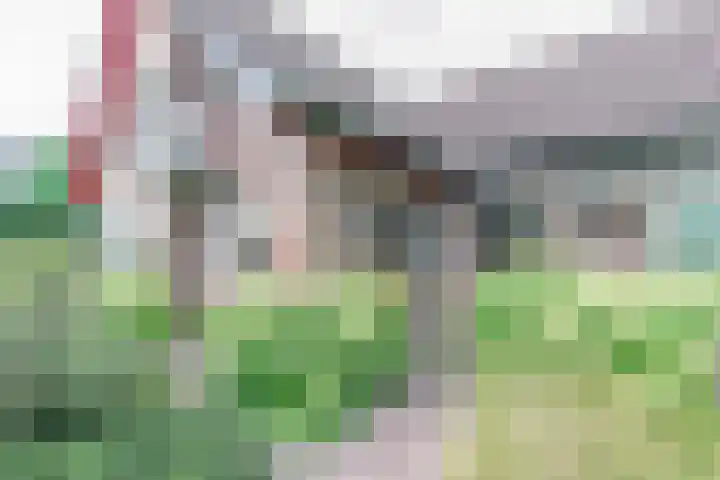 den Blieklaan 48 Soest thumbnail 4