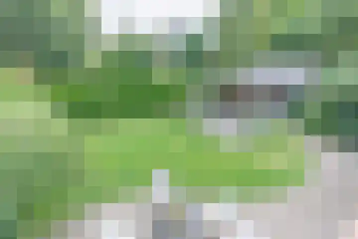 den Blieklaan 48 Soest thumbnail 46