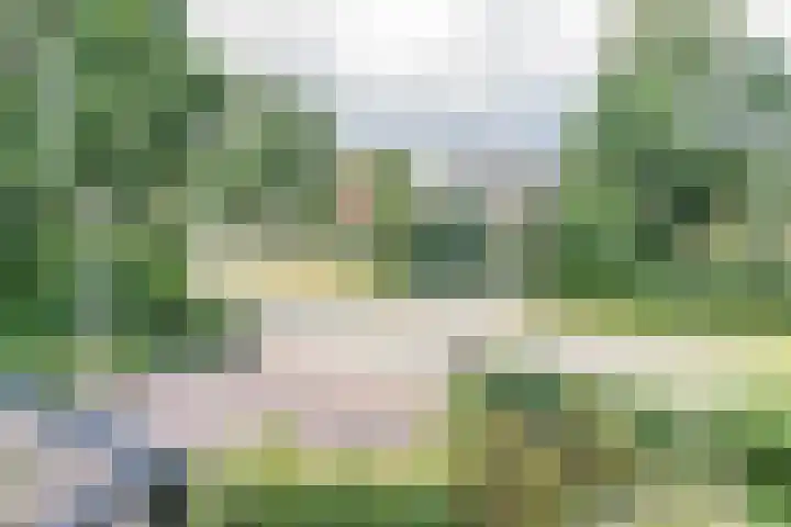 den Blieklaan 48 Soest thumbnail 50