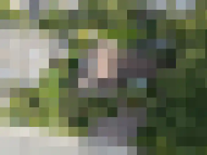 den Blieklaan 48 Soest thumbnail 66