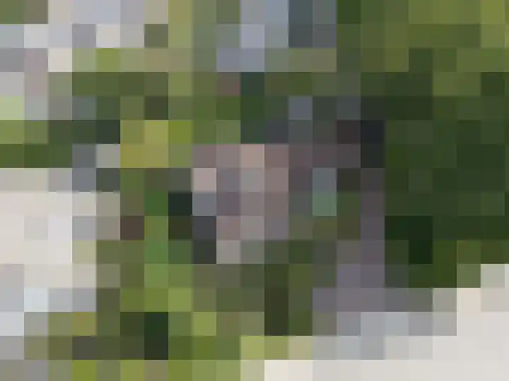 den Blieklaan 48 Soest thumbnail 67