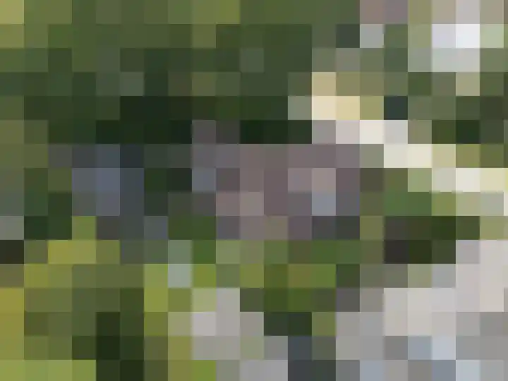 den Blieklaan 48 Soest thumbnail 68