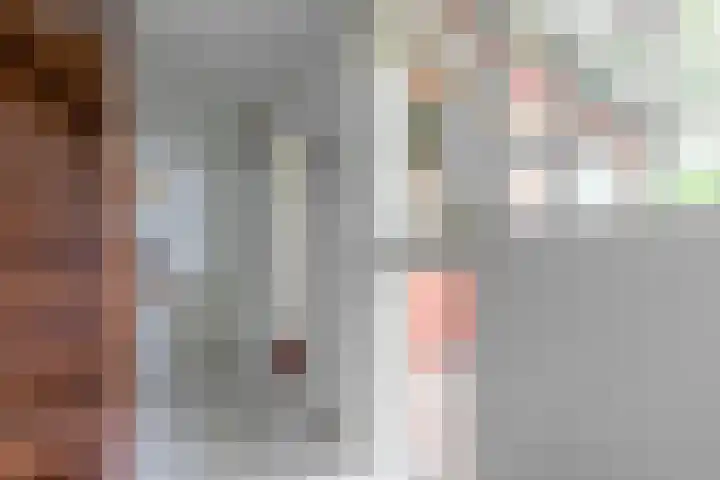 den Blieklaan 48 Soest thumbnail 8