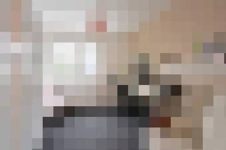 den Blieklaan 52 Soest thumbnail 17