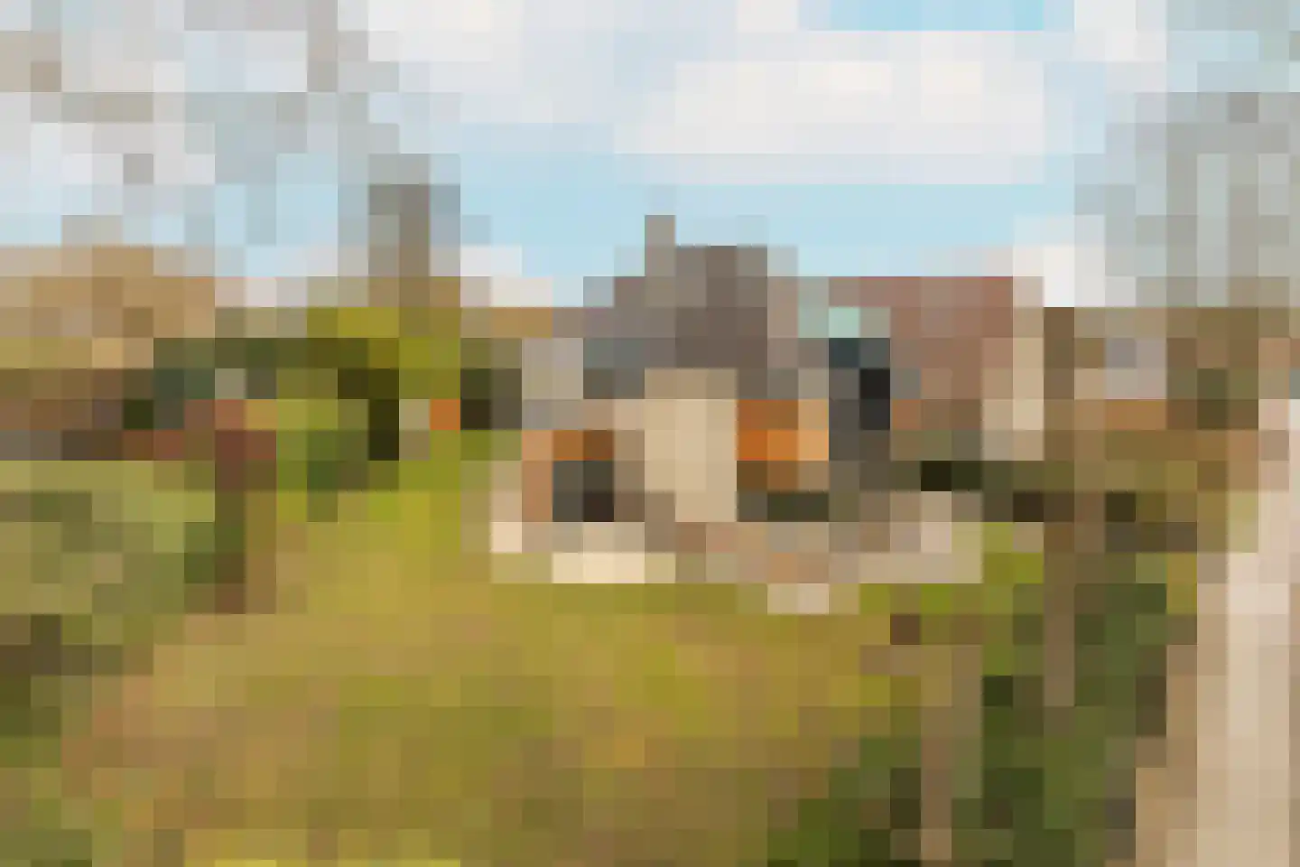 den Blieklaan 58 Soest foto 2