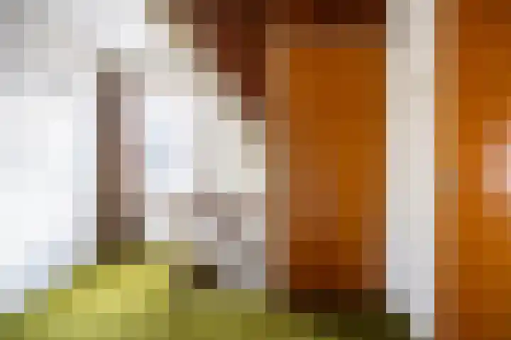 den Blieklaan 60 Soest thumbnail 27