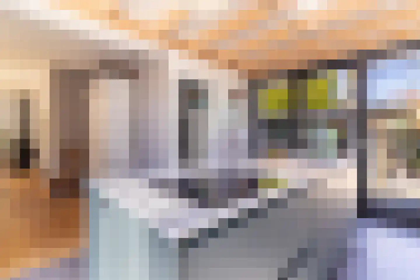 den Blieklaan 68 Soest thumbnail 11
