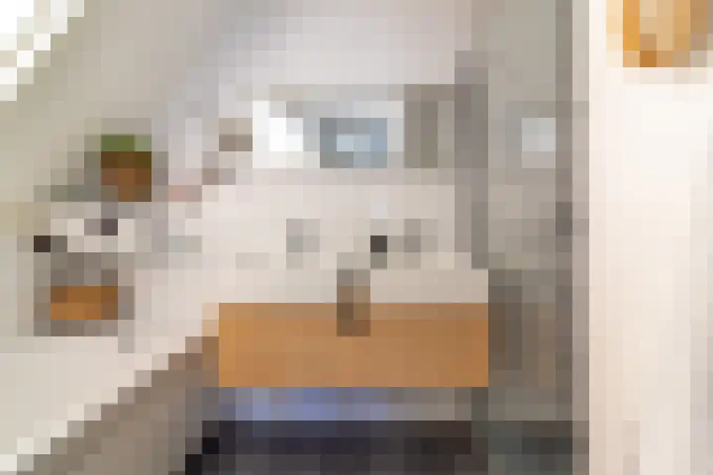 den Blieklaan 68 Soest thumbnail 17