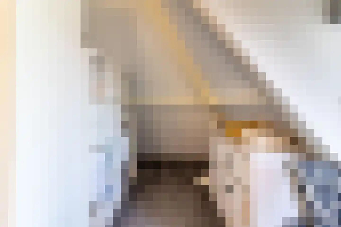 den Blieklaan 68 Soest thumbnail 22