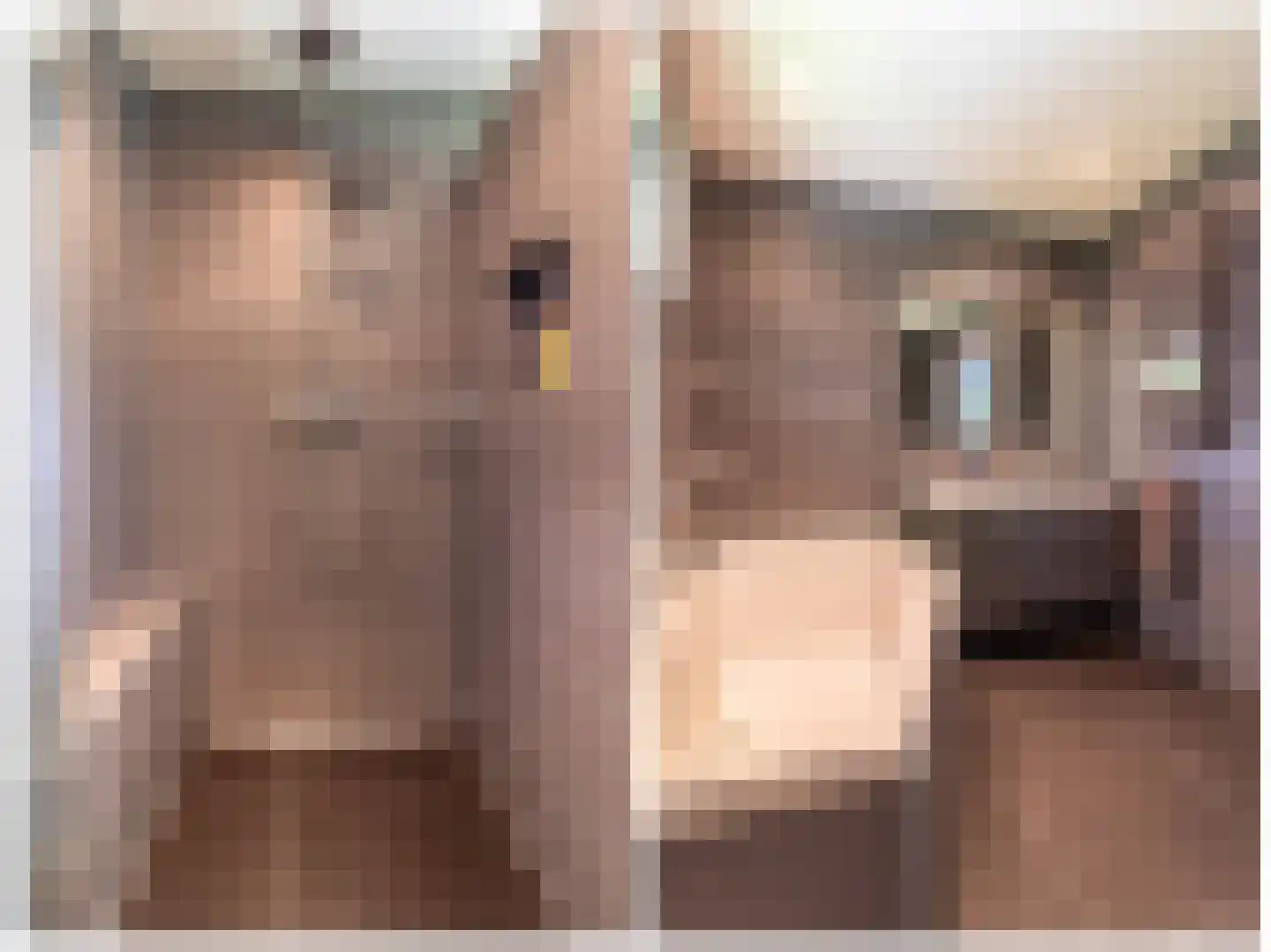 den Blieklaan 7 Soest thumbnail 20