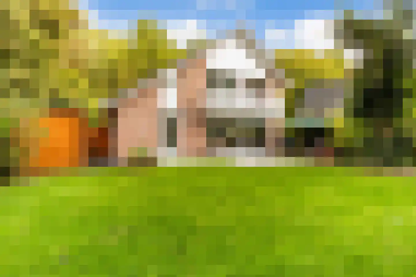 den Blieklaan 7 Soest thumbnail 22