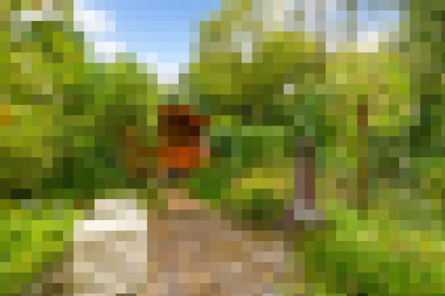 den Blieklaan 7 Soest thumbnail 26