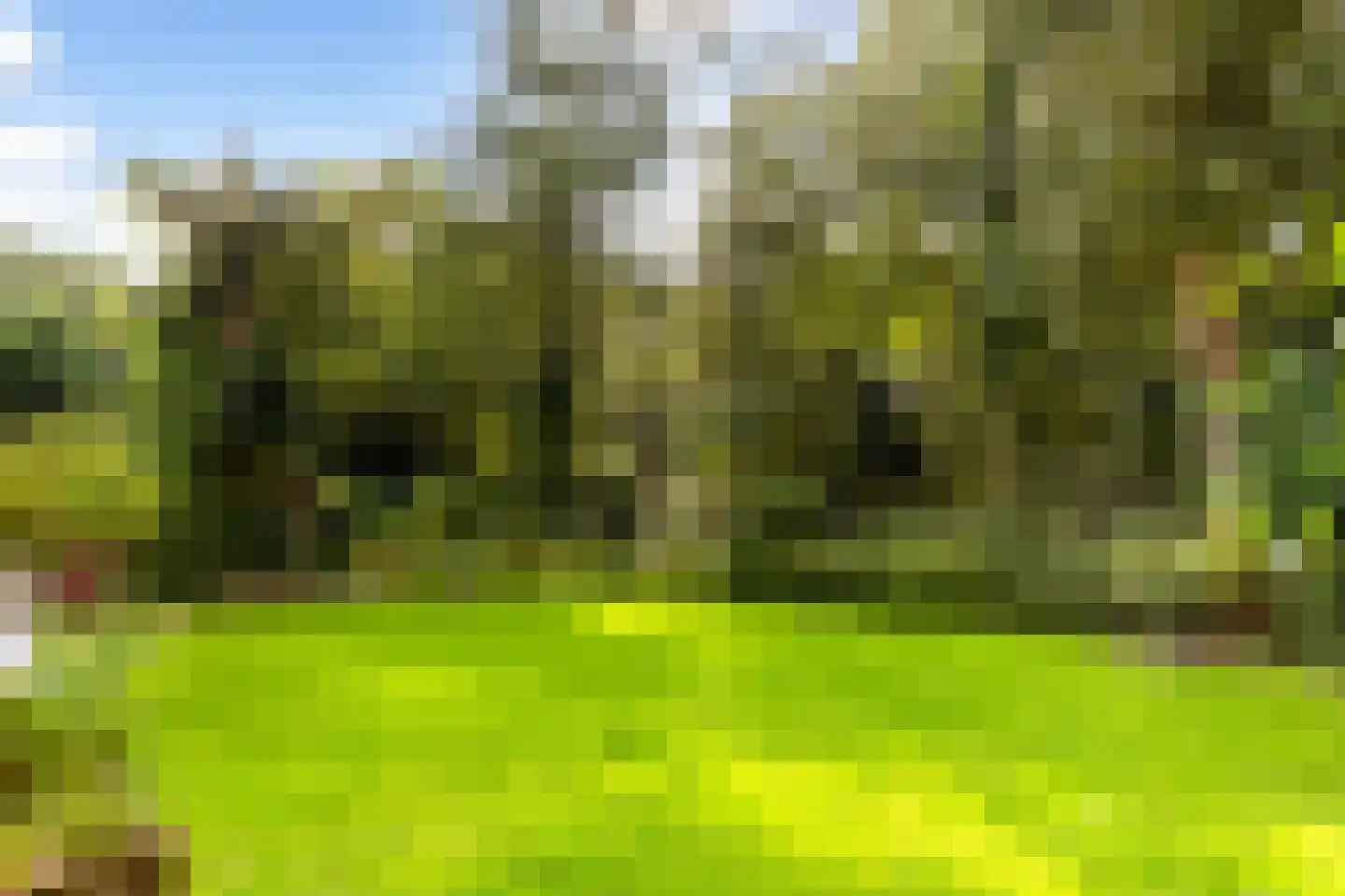 den Blieklaan 7 Soest thumbnail 27