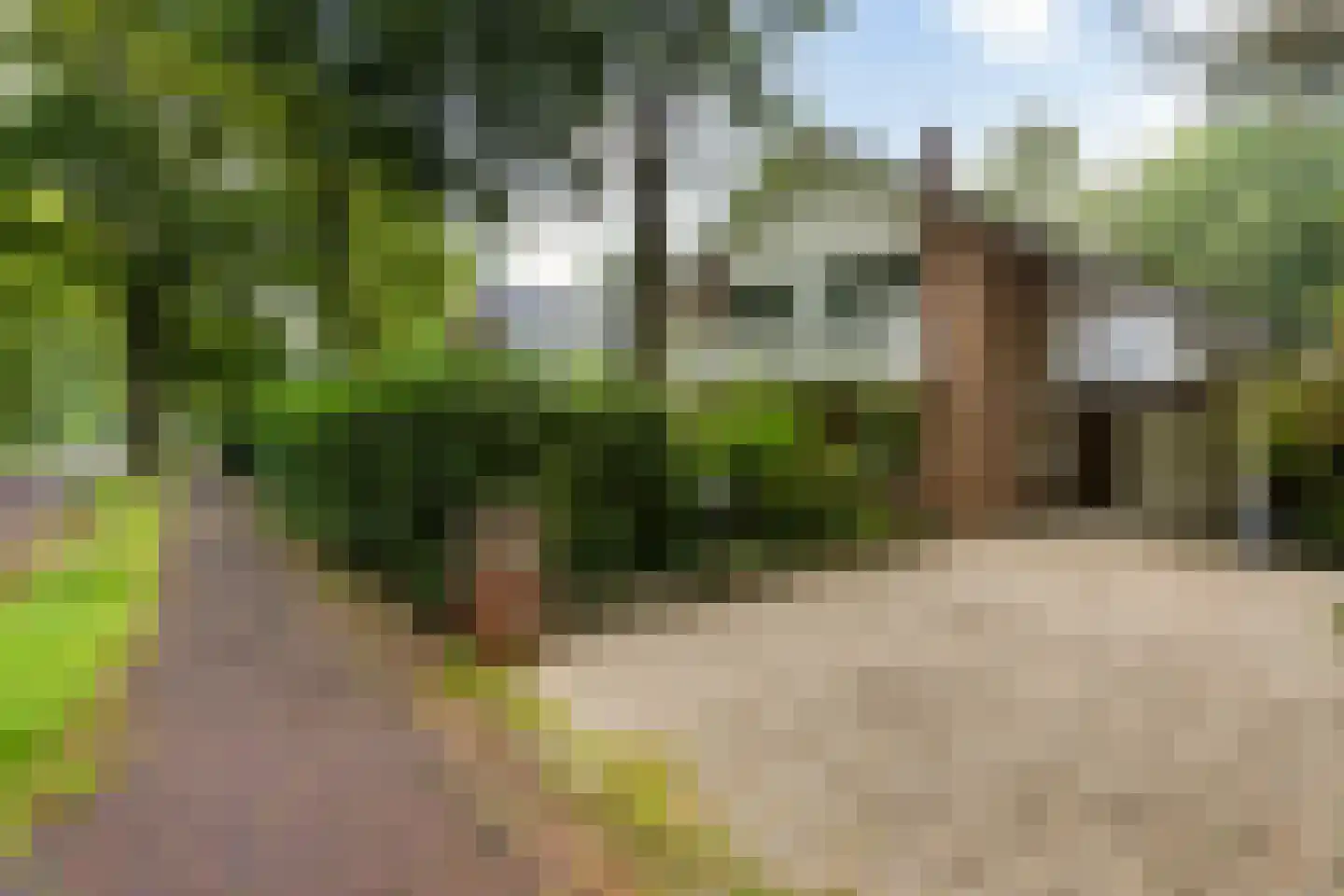 den Blieklaan 7 Soest thumbnail 28