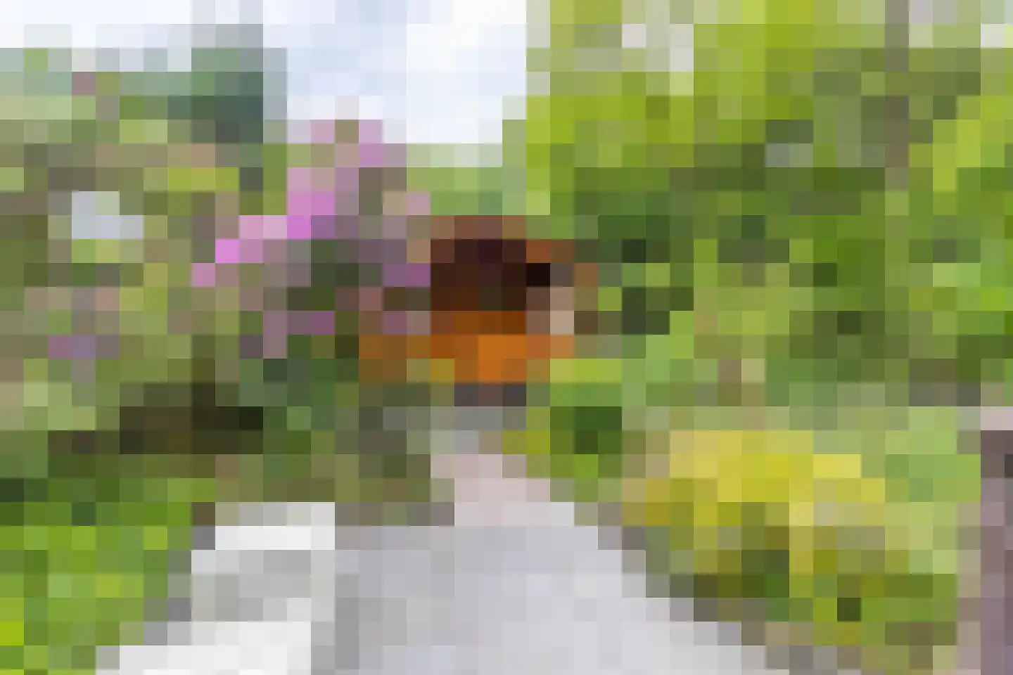 den Blieklaan 7 Soest thumbnail 29