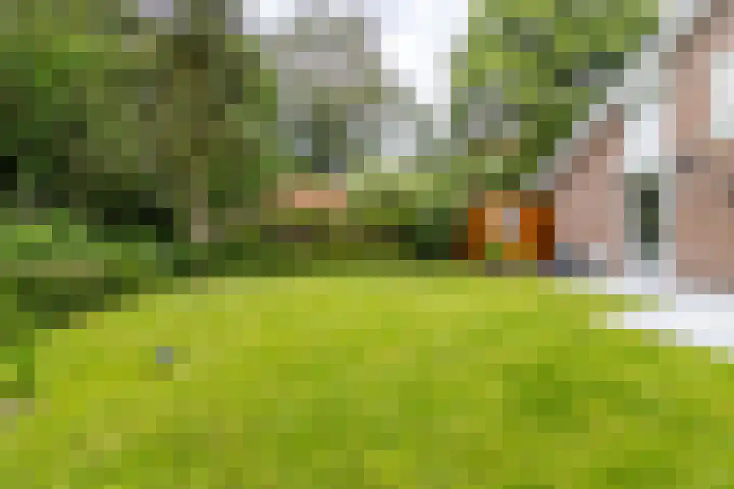 den Blieklaan 7 Soest thumbnail 30