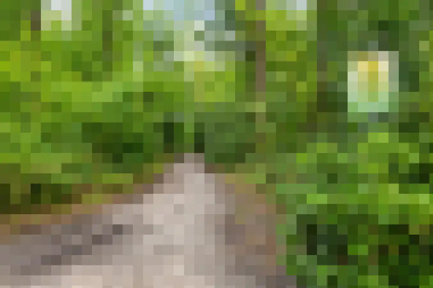 den Blieklaan 7 Soest thumbnail 31