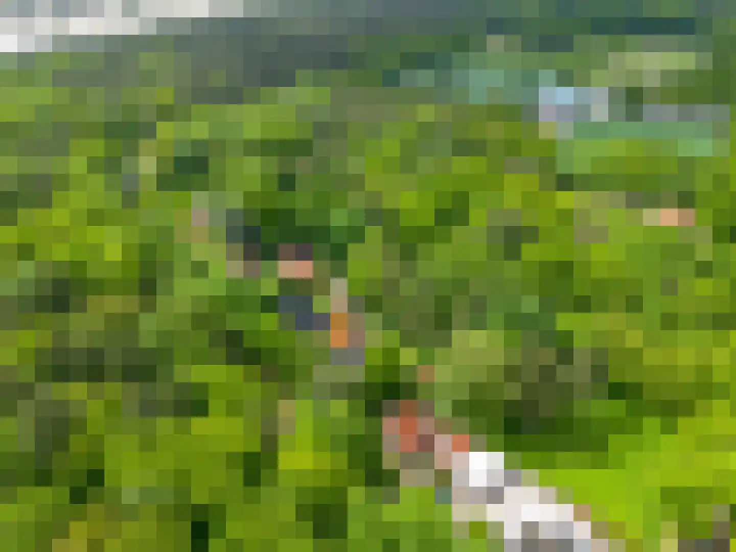 den Blieklaan 7 Soest thumbnail 34